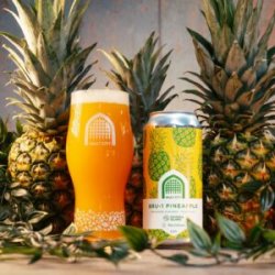 Vault City x Pomona Island  Bru-1 Pineapple [6.5% Sour] - Red Elephant