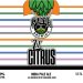 Funk Lil’ Citrus IPA 2412 oz cans 