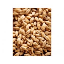 Weyermann CARAPILS Malt (Karapils) - BO PIVO