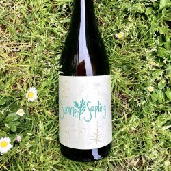 SANTE ADAIRIUS Summer Sapling 75cl - Cantina Brassicola Digitale