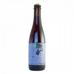 Mikkeller Spontan Blackberry Sour 375ml Bottle - Beer Head