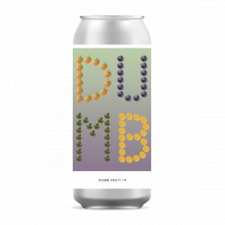 Evil Twin Dumb Fruit 19 - Craft Central