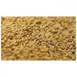 Wheat malt light (weizen) 3... - Cervesera Artesenca