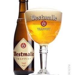 Westmalle GLAS - Trappist.dk - Skjold Burne