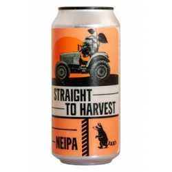 Birrificio Wild Raccoon Straight To Harvest Birrificio Wild Raccoon Straight To Harvest