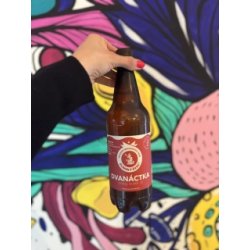 Pivovar Malenovice Zlínský Švec 12% světlý ležák