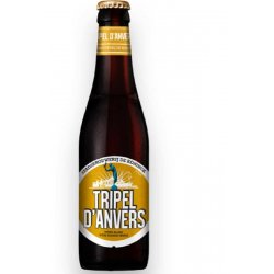 Tripel D’Anvers - The Belgian Beer Company