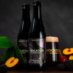 Vocation Blackberry & Plum Sour Barrel Aged craft beer 9.9% Bottle - Vocation