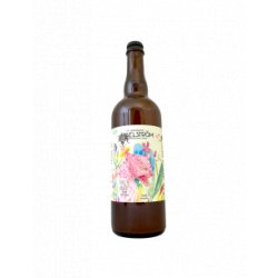 Maelström - Take It Hazy Pale Ale 75 cl - Bieronomy