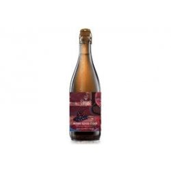 Elegast Cider Berry Good Cider 9x75CL - Van Bieren