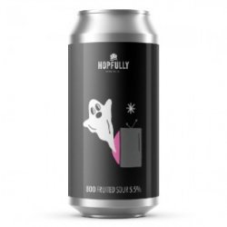 Hopfully Boo Fruited Sour - Craft Beers Delivered