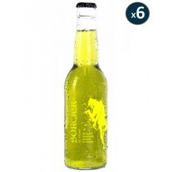 BIERE DU SORCIER VERTE 6*33CL - Planete Drinks