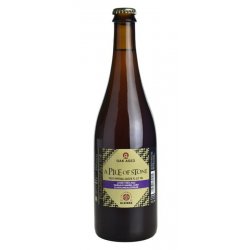 AlvinneBA Saison75cl9% A Pile of Stone 2022 - BierBazaar