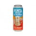 PINTA - OF THE MONTH - August 2025 - Der Sommer 0,5l can 5,5% alc. 