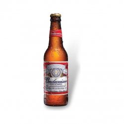 Cerveza Budweiser Pack 24 botellas 33 cl. - En Copa de Balón