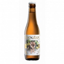 Lupulus Blonde - Cantina della Birra