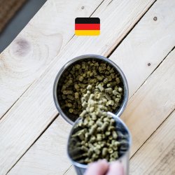 Lúpulo Perle (Alemanha) - Cerveja Artesanal