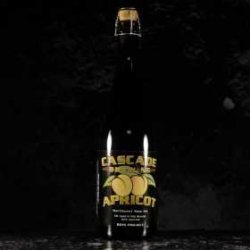 Cascade Cascade - Apricot - 7.2% - 75cl - Bte - La Mise en Bière