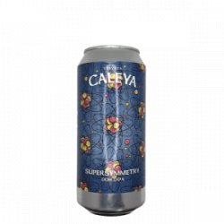 Caleya  Supersymmetry - De Biersalon