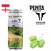 Pinta  Rivington Brewing - Hazy Discovery Rivington 500ml CAN 