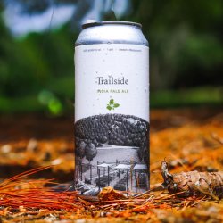 Trillium, Trailside, Hazy IPA, 6.8%, 473ml - The Epicurean