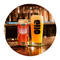 Oso Brew Co Organised Chaos