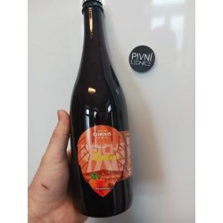 Cobolis Sour Ale Meruňka 14°5,5% 0,7l - Pivní lednice