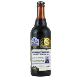 Bottle Logic Paisley Cave Complex 500ml - Cerveja Salvador