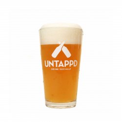 Untappd Logo Pint Glass - Untappd EU Store - DUPLICADA