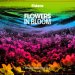 Fidens Brewing Co - Flowers In Bloom 