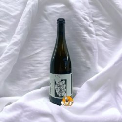 Macération Pinot Noir (Saison Sour) - BAF - Bière Artisanale Française