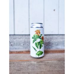 Fidens Brewing Co Safflower