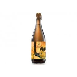 Elegast Cider Premium Organic Cider 9x75CL - Van Bieren