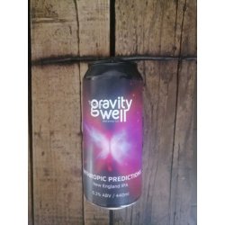 Gravity Well Brewing Co Anthropic Predictions