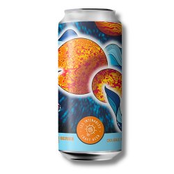 Les Intenables Cosmic Series Mosaïc - Double NEIPA - 44cl - Les Intenables - Craft Beer