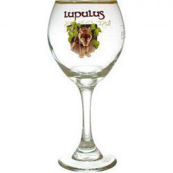 Lupulus Bierglas op voet 25cl - Drankenhandel Leiden / Speciaalbierpakket.nl