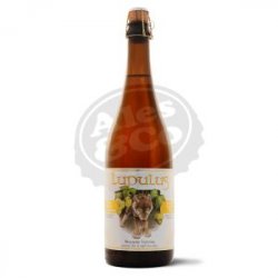 Lupulus Blonde - Ales & Co.