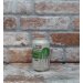 The Garden Brewery WC IPA - 33 CL 