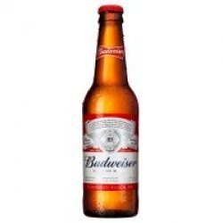 Budweiser - Yo pongo el hielo