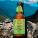 Sierra Nevada Pale Ale 0,35l– Intensiv, Aromatisch, Einzigartig mit 5,6% Vol. Sierra Nevada Pale Ale 0,35l– Intensiv, Aromatisch, Einzigartig mit 5,6% Vol.