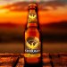 Grimbergen Double Ambrée 0,33 l – Das belgische Abteibier Grimbergen Double Ambrée 0,33 l – Das belgische Abteibier