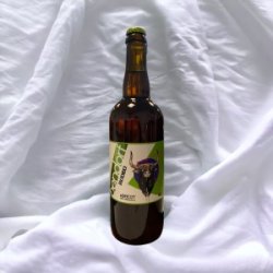 Rodeo  Abricot Sirop d’érable BA - BAF - Bière Artisanale Française