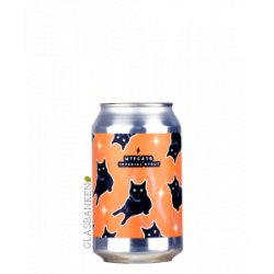 Garage Beer Co - WTF Cats - Glasbanken