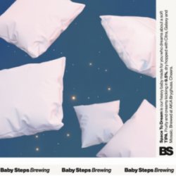 Baby Steps Brewing Space To Dream - ØL2GO