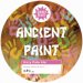Shiny Brewery Ancient Paint (Cask) 
