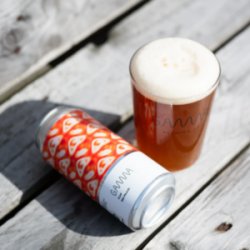 Gamma Brewing Company Clad