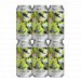 Duration Into The Wild 6pk  Session IPA 4.4% (Wild Fields Collab) 