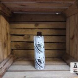 Astronaut Brouwerij Alkmaar SpaceQuad Zuidam Infused