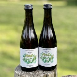 Otters Tears Dropped Limb Rustic Saison  Duration (Verdant collab) - Otters Tears