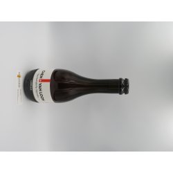 Chen van Loon Amber Ale 33cl - Widmer Bierspezialitäten